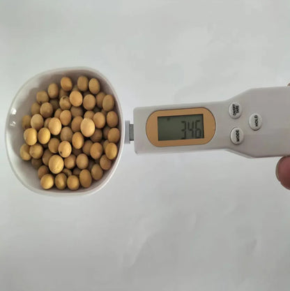 Kitchen Electronic Spoon Scale 2.0